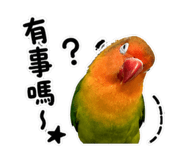 853533740