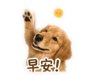 853534154