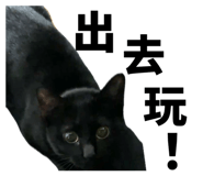 853534380