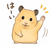 853535073