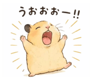 853535080