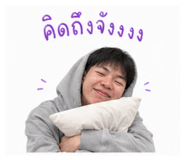 853535577