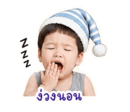 853536003