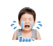 853536004