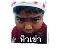 853536513