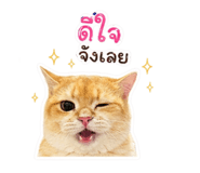 853537066