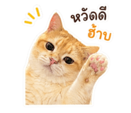 853537067