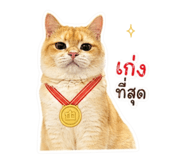 853537069