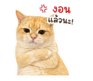853537070