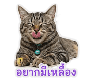 853537138