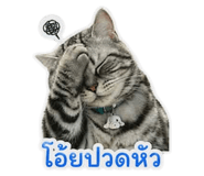 853537149