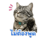 853537150