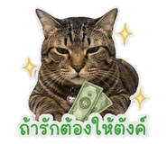 853537153