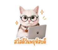 853537220