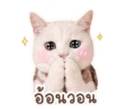 853537229