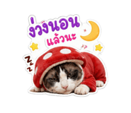 853538280