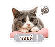 853538347