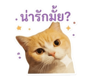 853538757