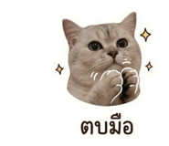 853538868