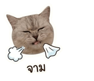 853538870