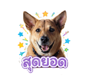 853540829