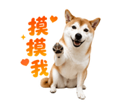 853540883