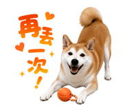 853540884