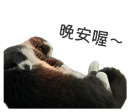 853541356