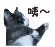 853541367