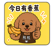 853546406