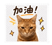 853547515