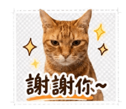 853547516