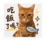 853547518