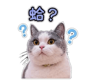 853547579