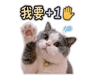 853547582