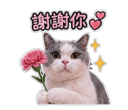 853547585