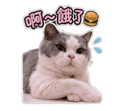 853547586