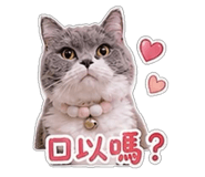853547587