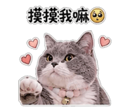 853547593