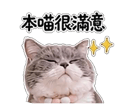 853547594