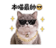 853547595