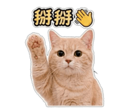 853547602
