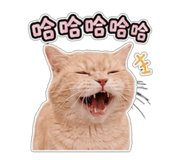 853547603