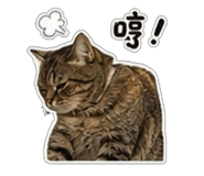 853547607