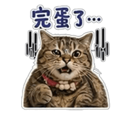 853547613