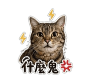 853547616