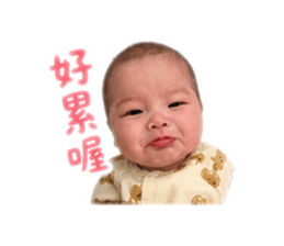 853549474