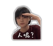 853550484