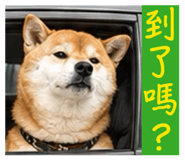 853550979