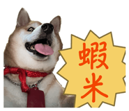 853550983